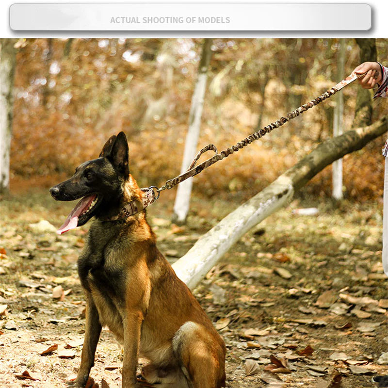 2-Inch Wide Heavy-Duty Tactical Nylon Dog Collar for Large Breeds with Metal Buckle