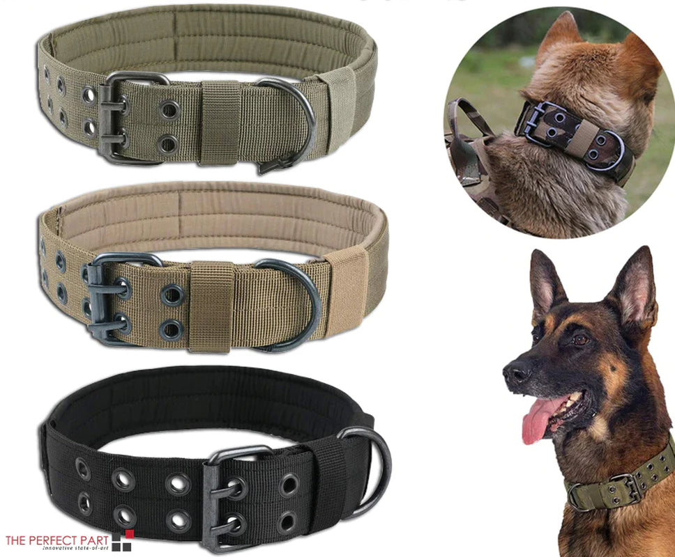 2-Inch Wide Heavy-Duty Tactical Nylon Dog Collar for Large Breeds with Metal Buckle
