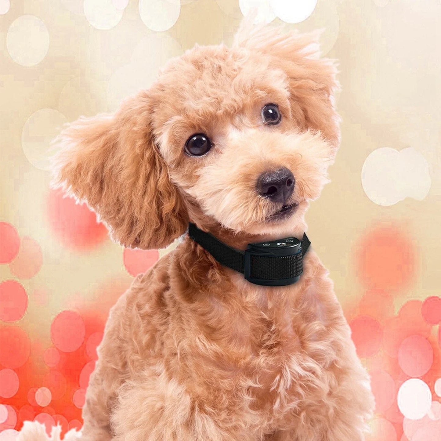 Automatic Anti-Bark Control Collar for Dogs - Suitable for Large, Medium, and Small Breeds