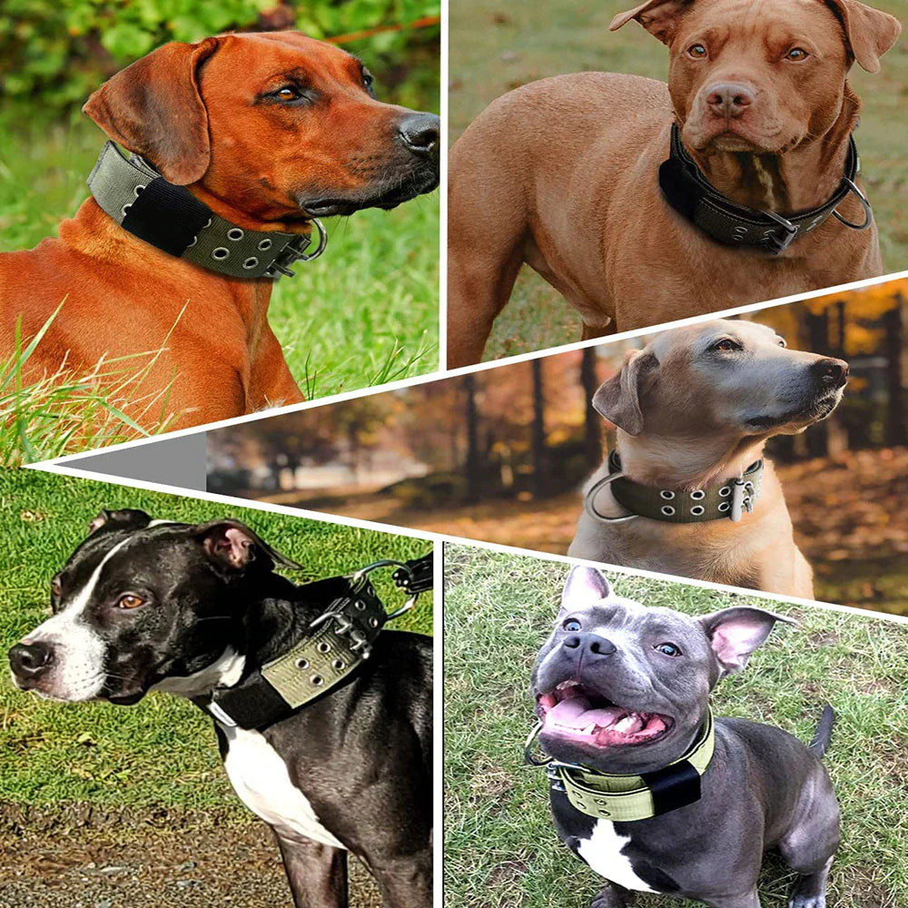 2-Inch Wide Heavy-Duty Tactical Nylon Dog Collar for Large Breeds with Metal Buckle