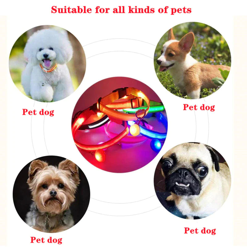 LED Adjustable Dog Collar with Blinking Light for Enhanced Pet Safety - Waterproof Design