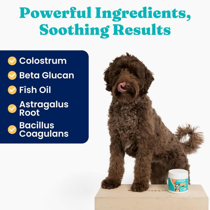 Solid Gold Dog Allergy Relief Chews - Wild Alaskan Salmon Oil for Dogs - Bacon Flavor - 120 Ct - Dog Allergy Chews, 120 Count