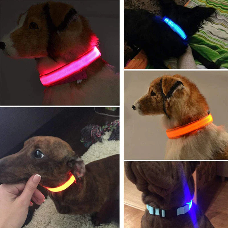 LED Adjustable Dog Collar with Blinking Light for Enhanced Pet Safety - Waterproof Design