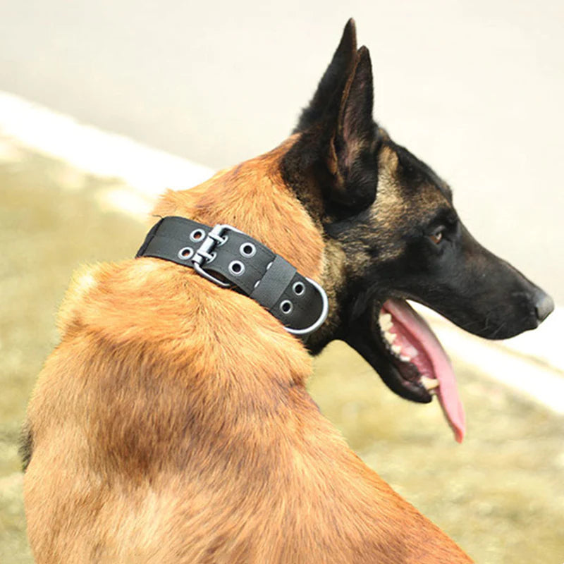 2-Inch Wide Heavy-Duty Tactical Nylon Dog Collar for Large Breeds with Metal Buckle